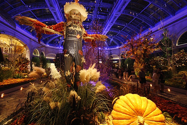 Wintergarten im Bellagio in Herbststimmung